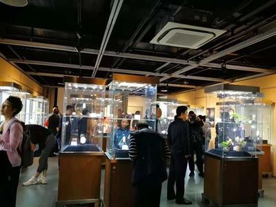 美玉翘楚一一首届上海工艺美术行业玉石雕刻艺术作品展开幕